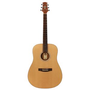Ashton D20 Acoustic Guitar