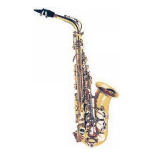 Fontaine FBW309 E Flat Alto Saxophone Plus Black ABS case