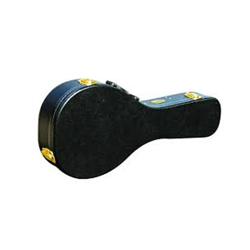 Ashton Apcmd Mandolin Hard Case