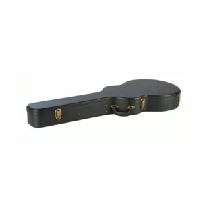 Ashton Apjcs Slim Jumbo Case