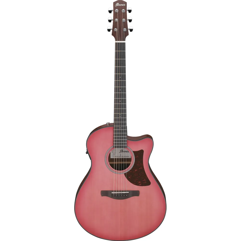 Ibanez Aam50Cecro Acoustic Guitar