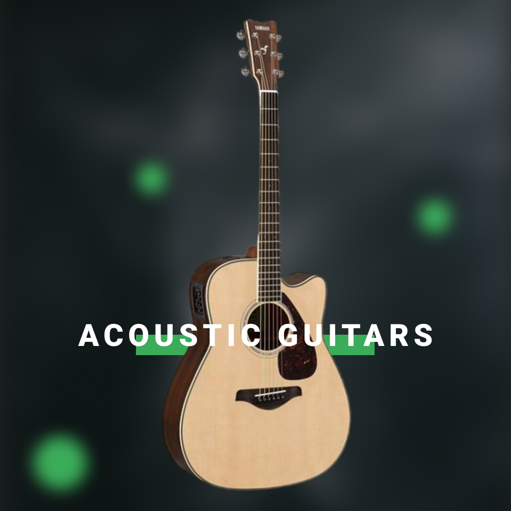 Acoustic Guitars