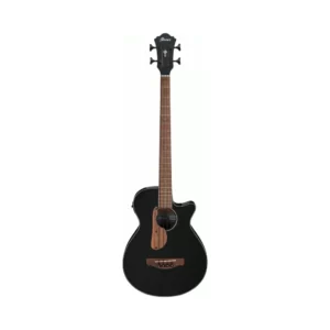 Ibanez Aegb24E Bkh Acoustic Guitar