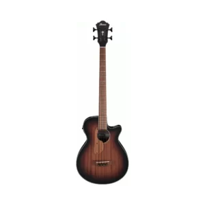Ibanez Aegb24E Mhs Acoustic Guitar