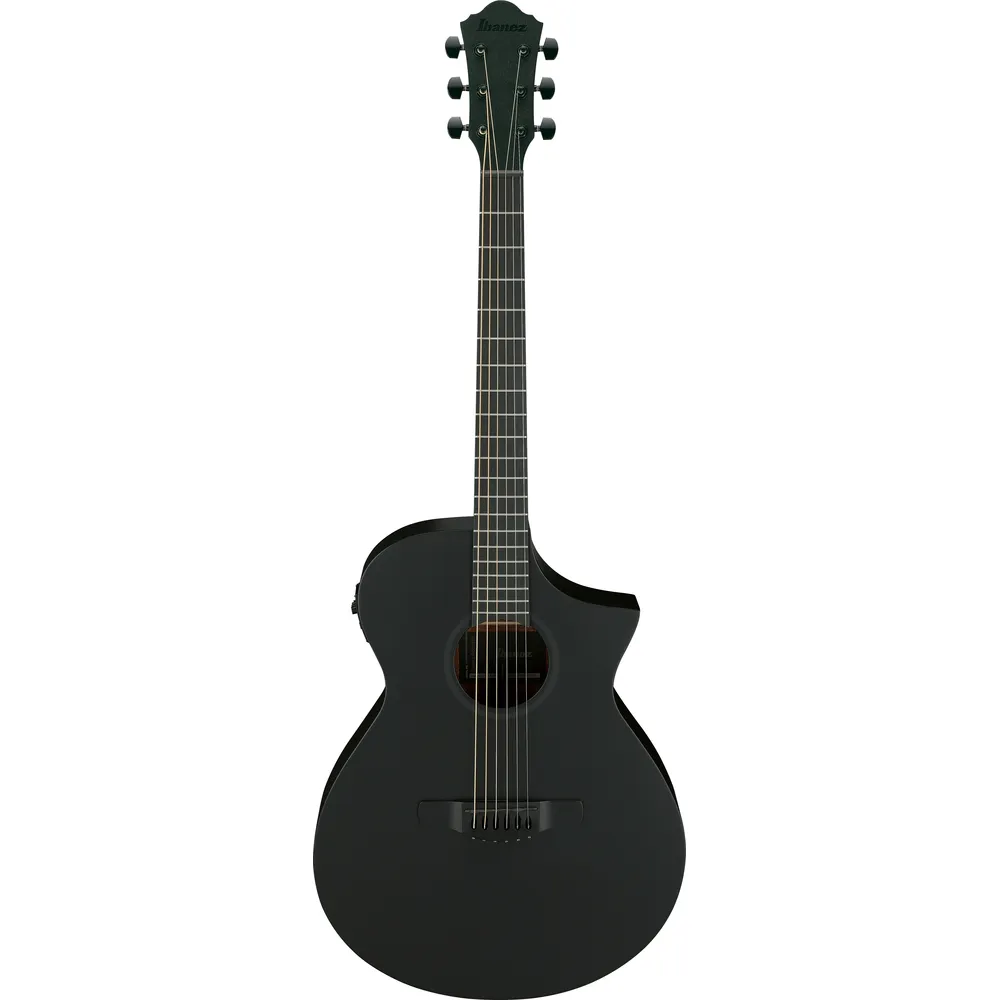 Ibanez Aewc621 Bot Acoustic Guitar