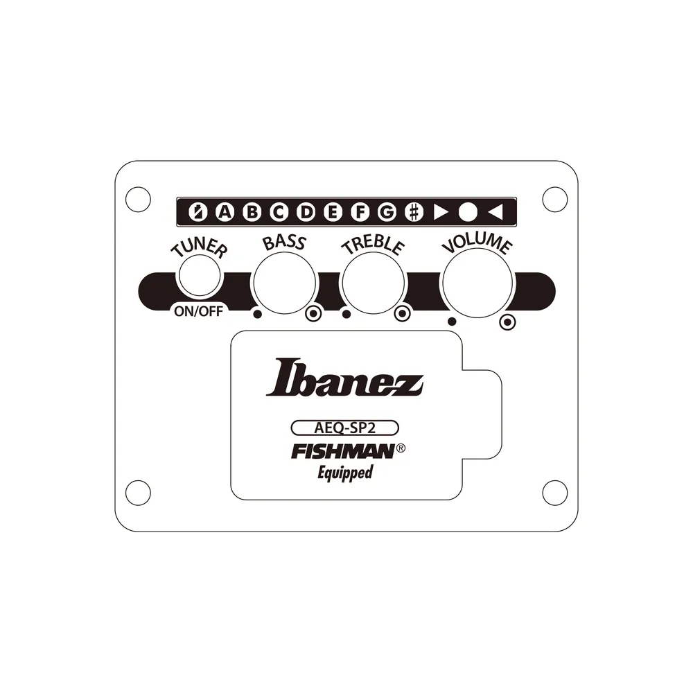 IBANEZ AEWC621 BOT ACOUSTIC GUITAR