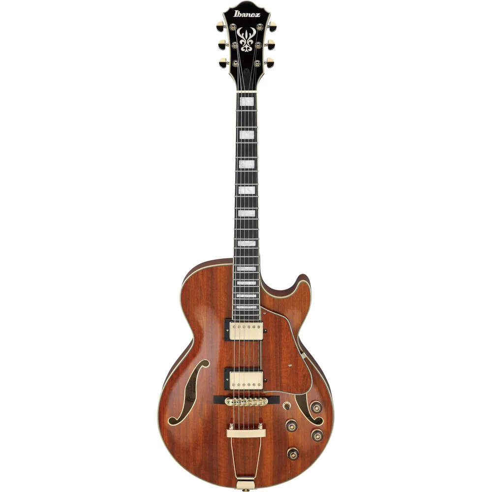 Ibanez AG95KNT Electro Acoustic Guitar Natural