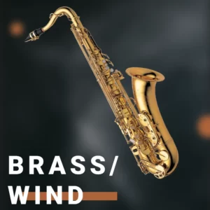 Brass/Wind