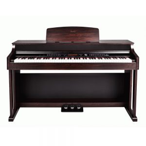 Beale DP500 88 Note Weighted Keys Digital Piano