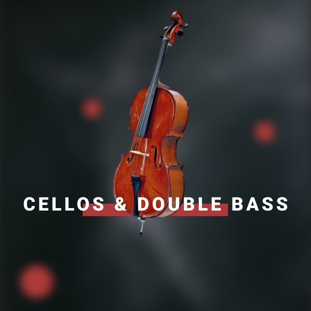 Cellos & Double Bass