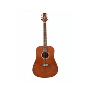 Ashton D20 Ms Natural Acoustic Guitar