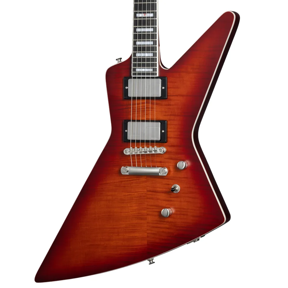 Epiphone Extura Prophecy Aged Bengal Tiger Burst - Image 4