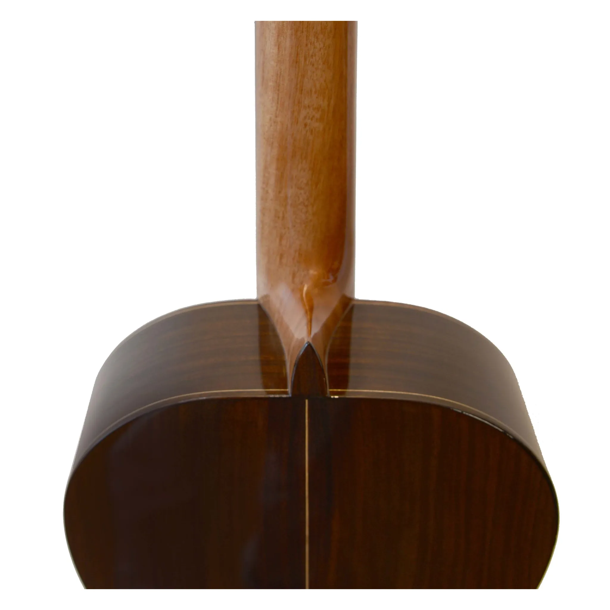 ES-06S_Heel_Back-scaled