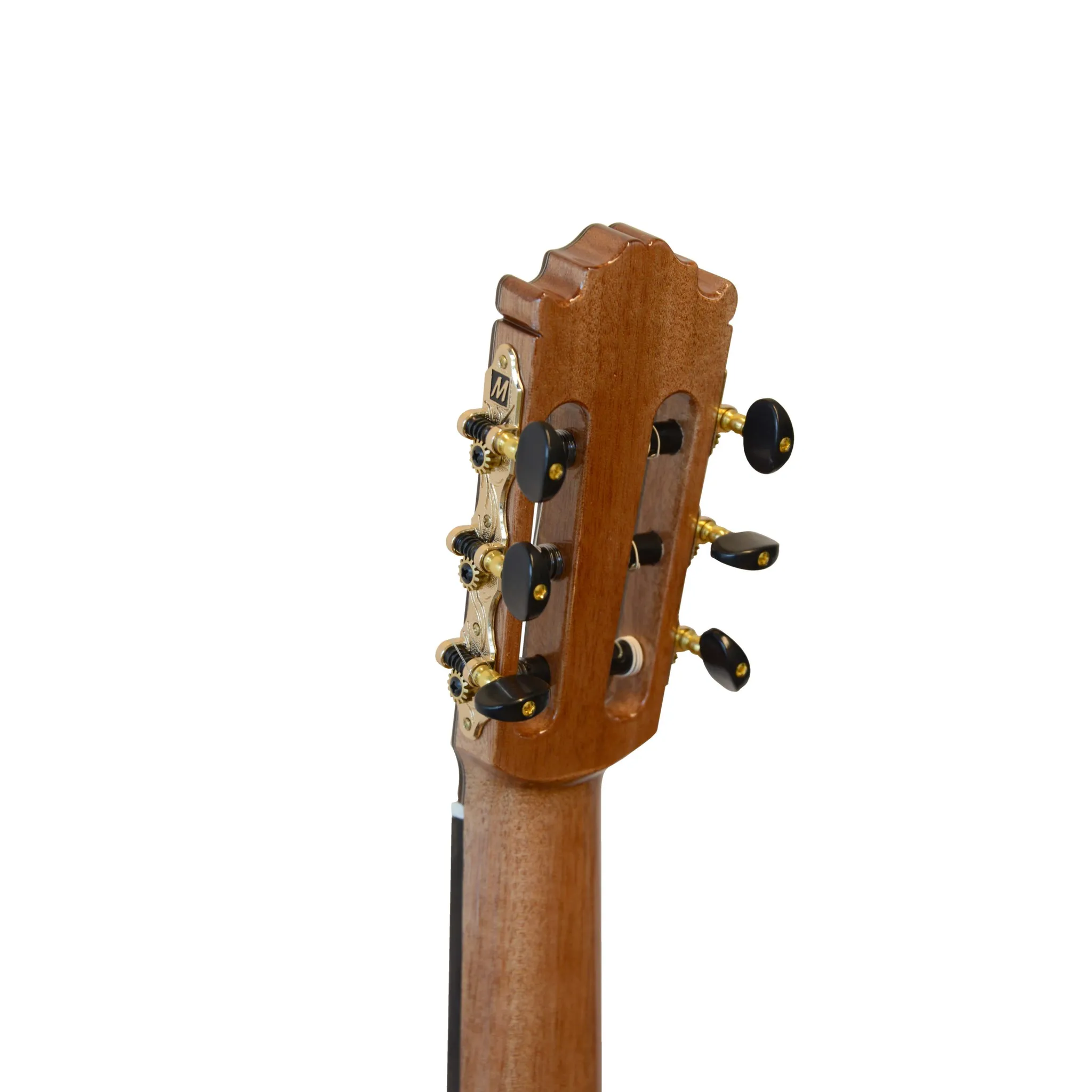 ES-10S_Headstock_back-scaled