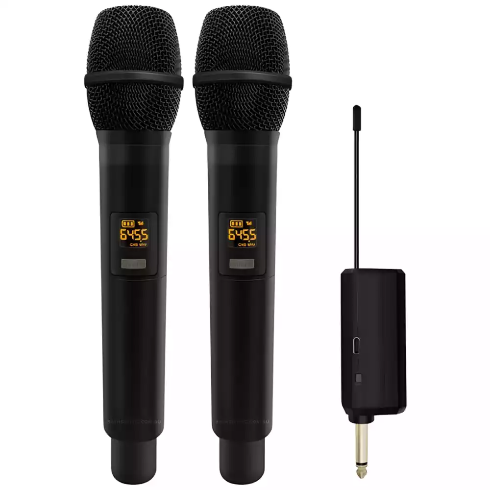 ICON ICO-WM32 Dual Wireless Microphones (2 Transmitters - 1 Receiver)
