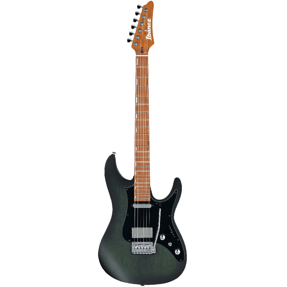Ibanez EH10 TGM Erick Hansel Signature Guitar