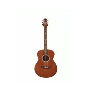 Ashton Jjr20 Ms Acoustic Guitar