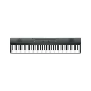 Korg Liano 88 Note Piano Metallic Gray