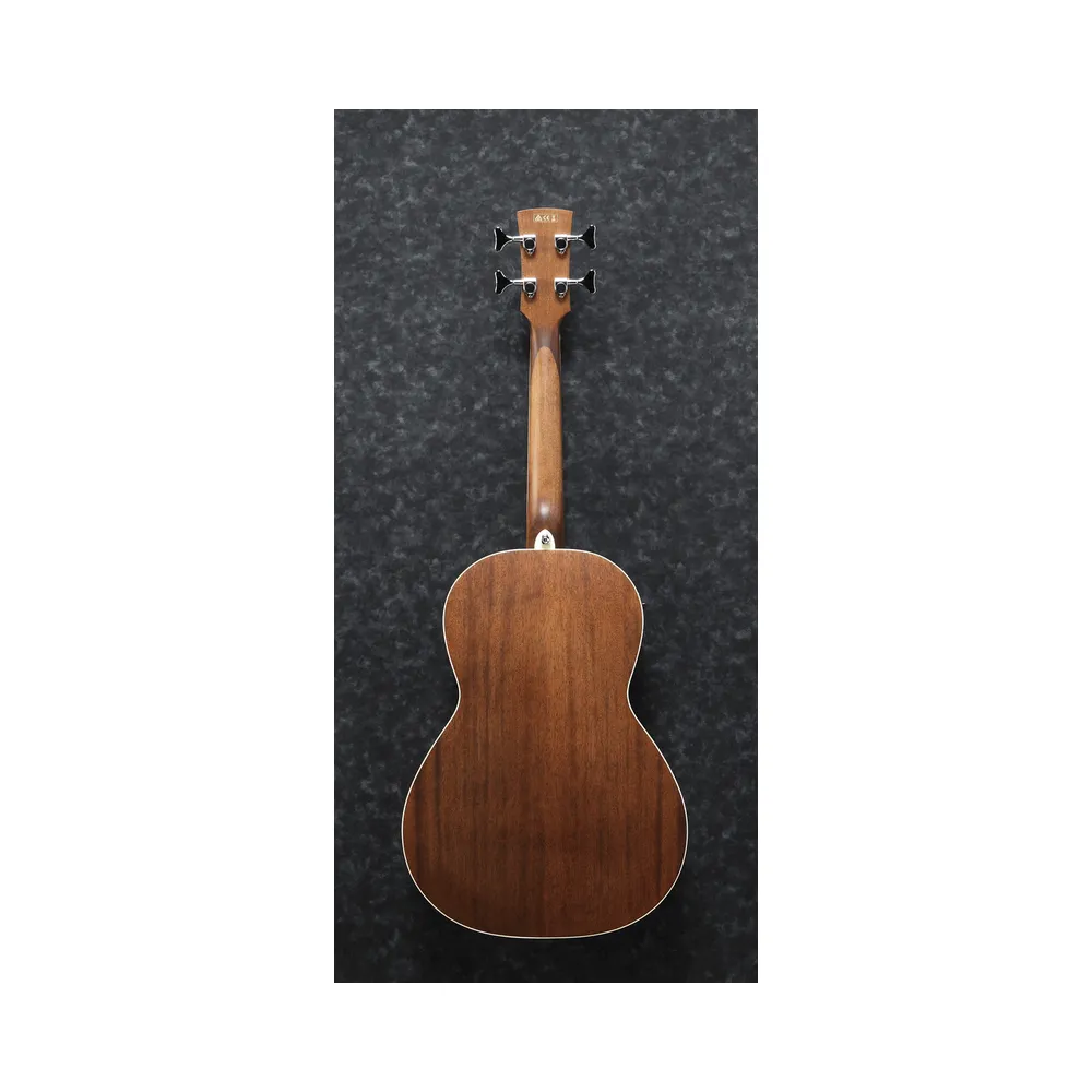 Ibanez Pnb14E Opn Acoustic Bass Guitar - Image 2