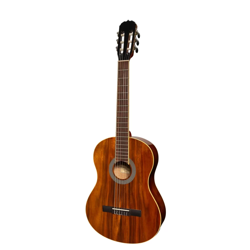 Sanchez SC-39ETG-RWD Classical Acoustic-Electric - Gloss Rosewood