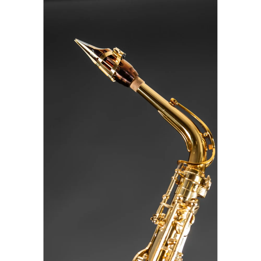 Vandoren Alto Sax Mouthpiece - PROFILE - AP2 - TITANIUM