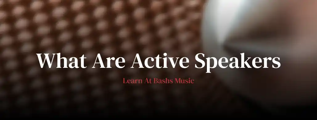 Active powered PA speaker for live sound