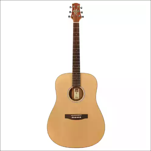 Ashton D20 Natural Acoustic Guitar