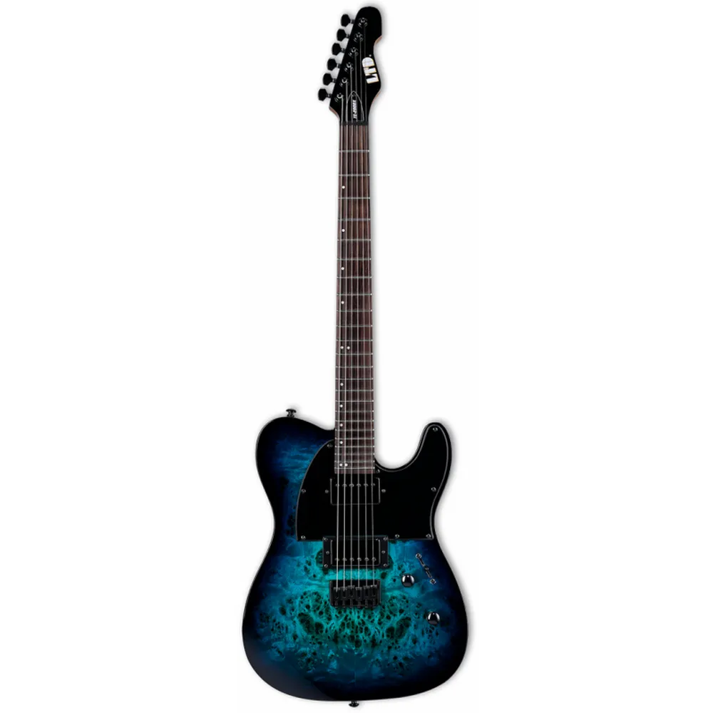 ESP LTD TE-200DX Electric Guitar - Blue Burst