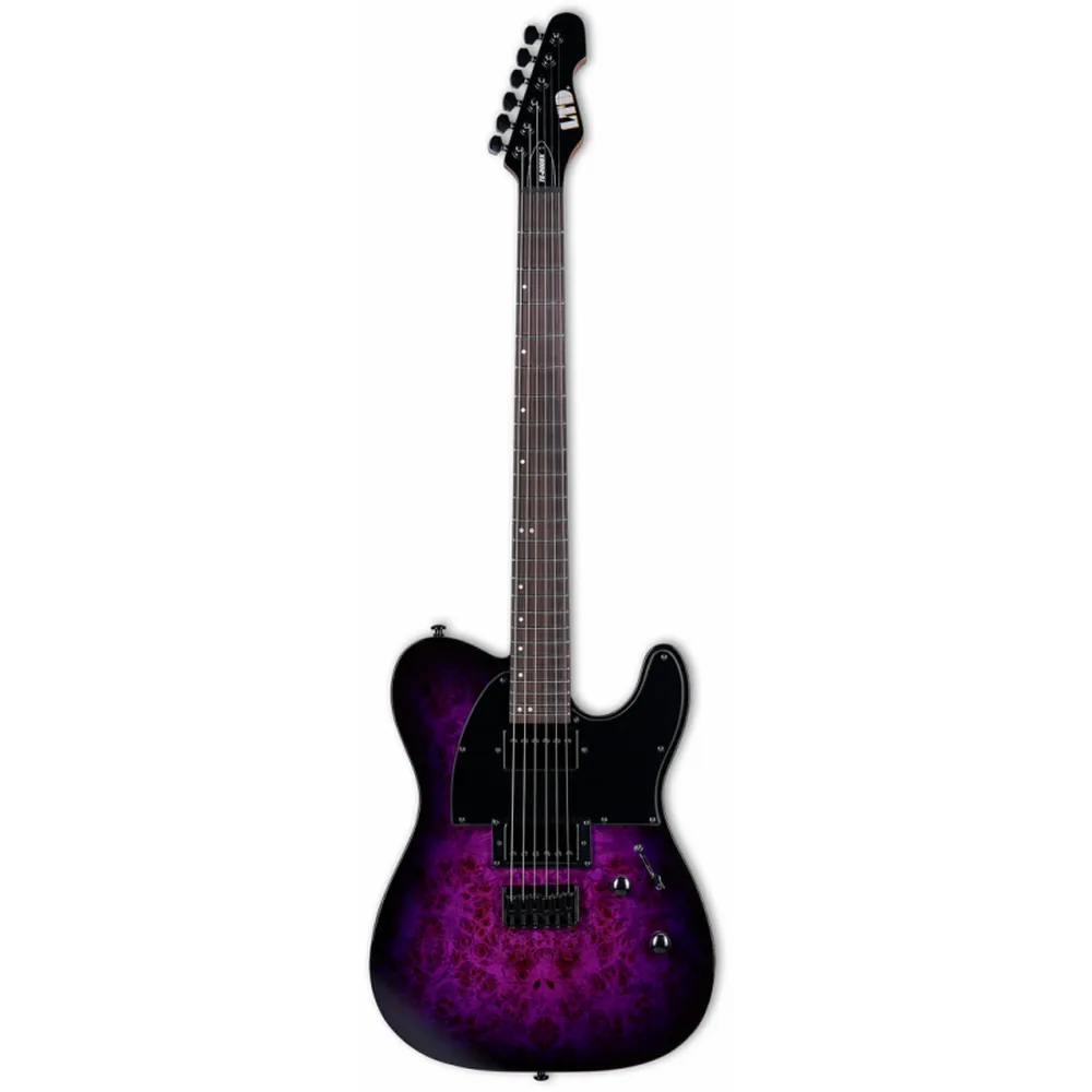 ESP LTD TE-200DX Electric Guitar - Purple Burst