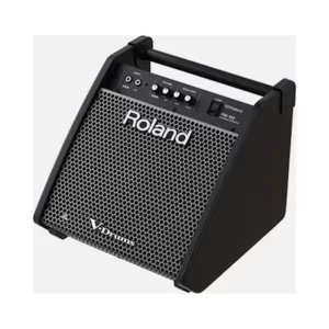 Roland PM-100 Personal Monitor 80w 1x10 Drum Monitor